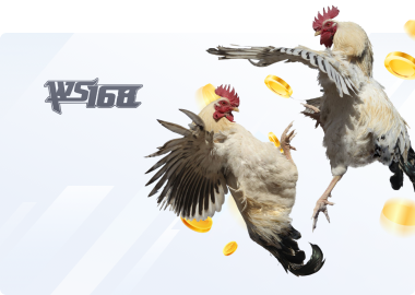 WS168 Cockfight
